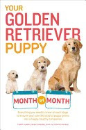 Your Golden Retriever Puppy Month by Month foto