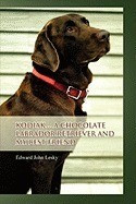 Kodiak ... a Chocolate Labrador Retriever and My Best Friend foto