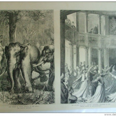 Grafica 1876 The Graphic vanatoare elefanti dans dervis Constantinopole