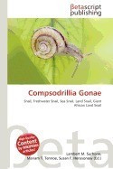 Compsodrillia Gonae foto