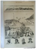 Grafica 1877 The Graphic Sfanta Elena insula Islanda Ladder Hill Jamestown