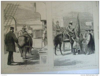 Grafica 29 aprilie 1876 The Graphic print Wales Malta elefant ofiter naval foto