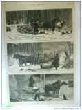 Grafica 9 iunie 1877 The Graphic Canada ferma cai lemne iarna grau