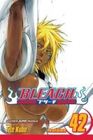 Bleach, Volume 42 foto