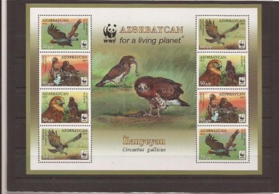 Azerbaidschan 2011 WWF pasari klbg foto
