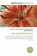Atropa Belladonna foto
