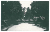 2979 - TARGU-JIU, Gorj, Public Garden - old postcard, real PHOTO - unused, Necirculata, Fotografie