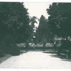 2979 - TARGU-JIU, Gorj, Public Garden - old postcard, real PHOTO - unused