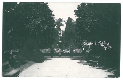 2979 - TARGU-JIU, Gorj, Public Garden - old postcard, real PHOTO - unused foto