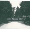 2979 - TARGU-JIU, Gorj, Public Garden - old postcard, real PHOTO - unused