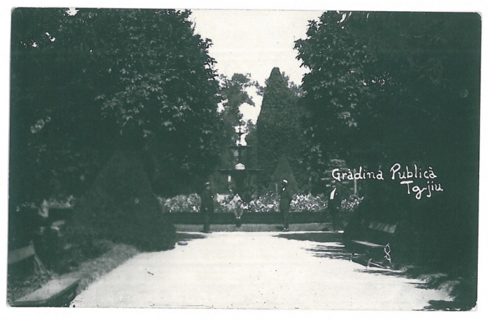 2979 - TARGU-JIU, Gorj, Public Garden - old postcard, real PHOTO - unused