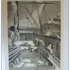 Grafica 22 ianuarie 1876 The Graphic expeditie arctica eschimos caine corabie