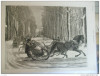 Grafica Veche 1876: Sanie Cai Derdelus Iarna Haga Olanda - The Graphic, Ilustratie Cal Bibliofilie