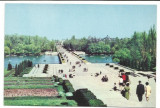 @carte postala(ilustrata) -BUCURESTI-Parcul Libertatii, Necirculata, Printata