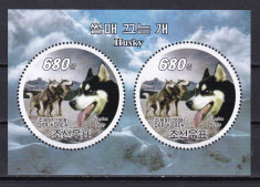 Coreea 2008 fauna caini husky MI bl.705 MNH w29 foto