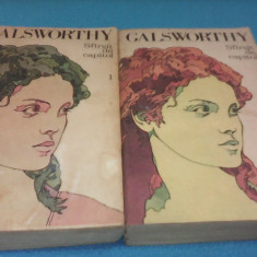 JOHN GALSWORTHY SFIRSIT DE CAPITOL VOL 1+2