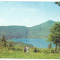 @carte postala(ilustrata) -TUSNAD-Lacul-Sf.Ana