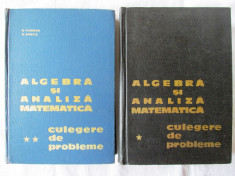 Algebra si Analiza Matematica - Culegere de probleme, Vol. I+II DONCIU, 1967 65 foto
