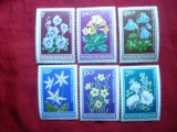 Serie -Flori Protejate 1978 Romania , 6 val.