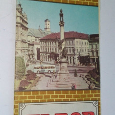 Rusia - Harta Lviv - 1984 Ed. la Moscova