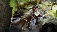 Set Macheta Revell Dinozaur - Allosaurus - 06474 foto