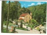 @carte postala(COD 531/74)-ARAD-Moneasa vedere din statiune