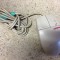 mouse COMPAQ - ps2 - cu bila --- doar 1 leu ---