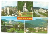 @carte postala(ilustrata)-VATRA DORNEI