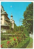 @carte postala(COD 3001/69)-VALCEA Calimanesti -vedere din parc