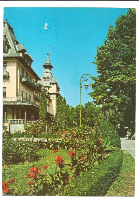 @carte postala(COD 3001/69)-VALCEA Calimanesti -vedere din parc