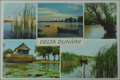 Delta Dunarii,Vedere multipla,necirculata foto