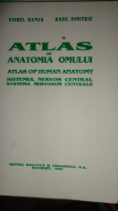 Atlas de anatomia omului sistemul nervos central an 1993/287pag/323 fig.- Ranga foto