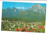 @carte postala(ilustrata)-BUSTENI-vedere spre Bucegi, Circulata, Printata