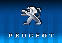 PEUGEOT SERVICE BOX foto