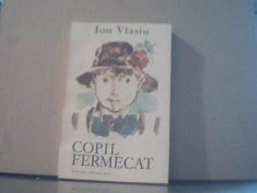 Ion Vlasiu - COPIL FERMECAT foto