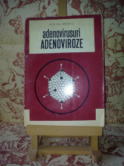 Adelina Derevici - Adenovirusuri Adenoviroze &amp;quot;A2555&amp;quot; foto