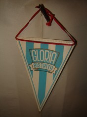 Fanion Gloria Bistrita model mic