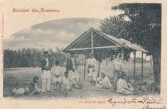 SALUTARI DIN ROMANIA , UN GRUP DE TIGANI ,CIRCULATA JUN.&amp;#039;&amp;#039;901 foto