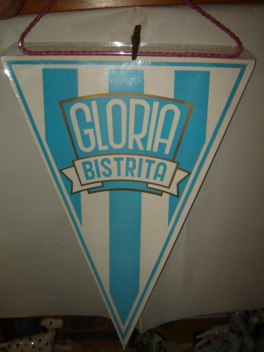 Fanion Gloria Bistrita model mare
