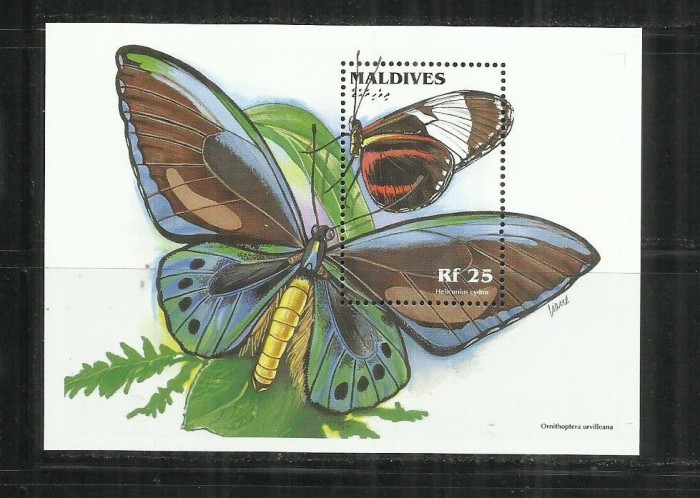 FL 22 - FLUTURI - MALDIVES - COLITA NESTAMPILATA
