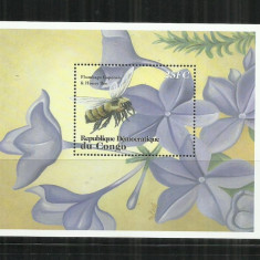 FL 8 - FLUTURI - CONGO - COLITA NESTAMPILATA, MNH