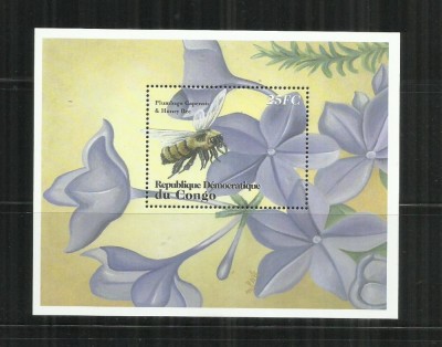 FL 8 - FLUTURI - CONGO - COLITA NESTAMPILATA, MNH foto