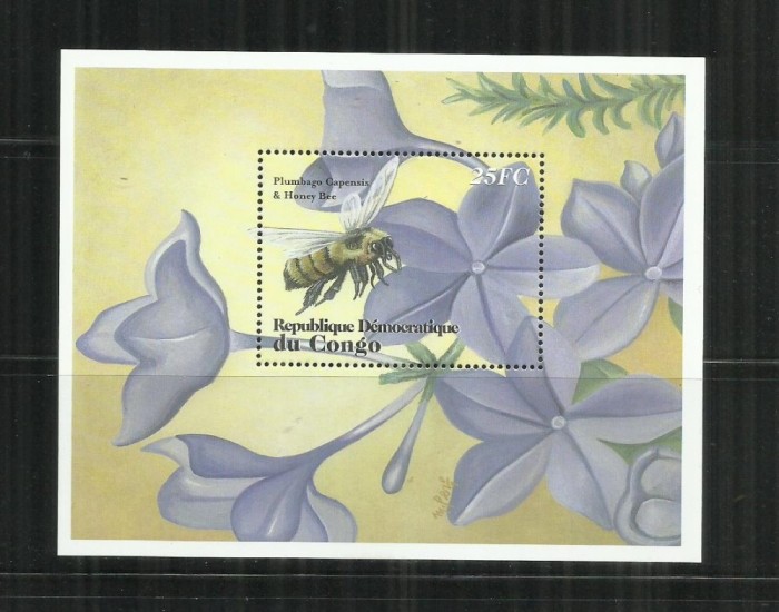 FL 8 - FLUTURI - CONGO - COLITA NESTAMPILATA, MNH