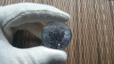 Monede / Lingou argint PUR 999, INVESTITIE, Canada frunza artar, 31g/buc foto