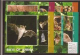 Liberia - bats of Africa - 2014