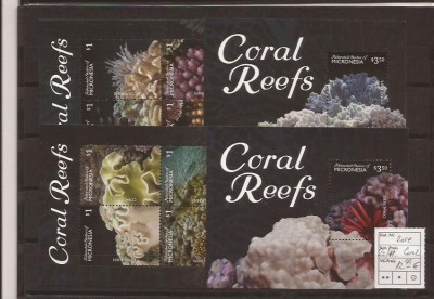 Micronesia - Coral Reefs - 2014 foto