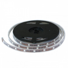 Banda LED SMD 3528 - 60 leduri ALBASTRU IP65 foto