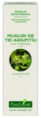 Extract concentrat din muguri de tei argintiu (TILIA TOMENT.) foto