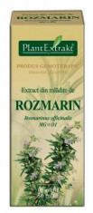 Extract din mladite rozmarin (ROSMARINUS OFF.) foto