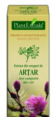 Extract din muguri de artar 50 ml (ACER CAMP) foto